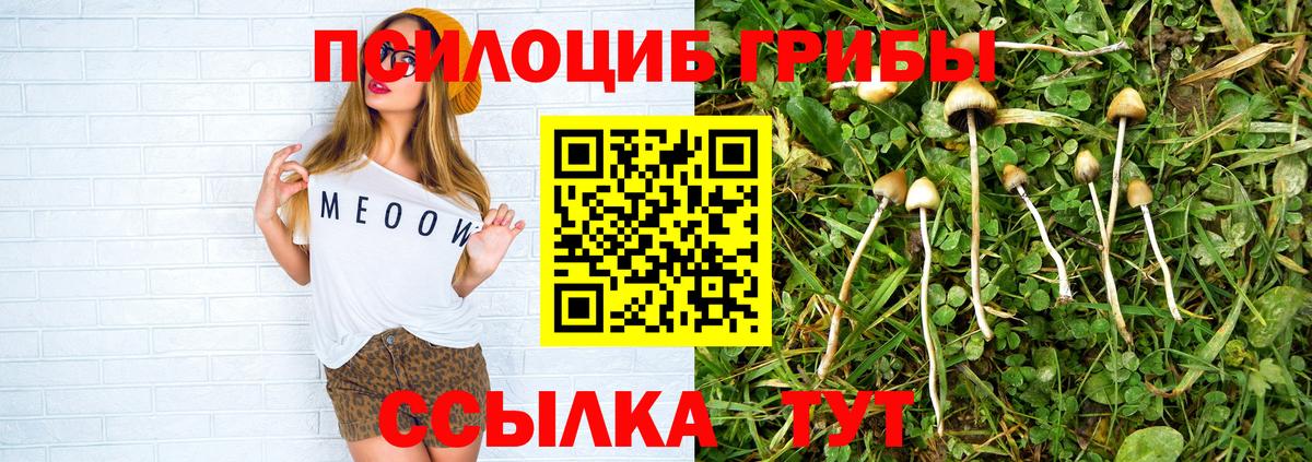 Галлюциногенные грибы ЛСД Губаха