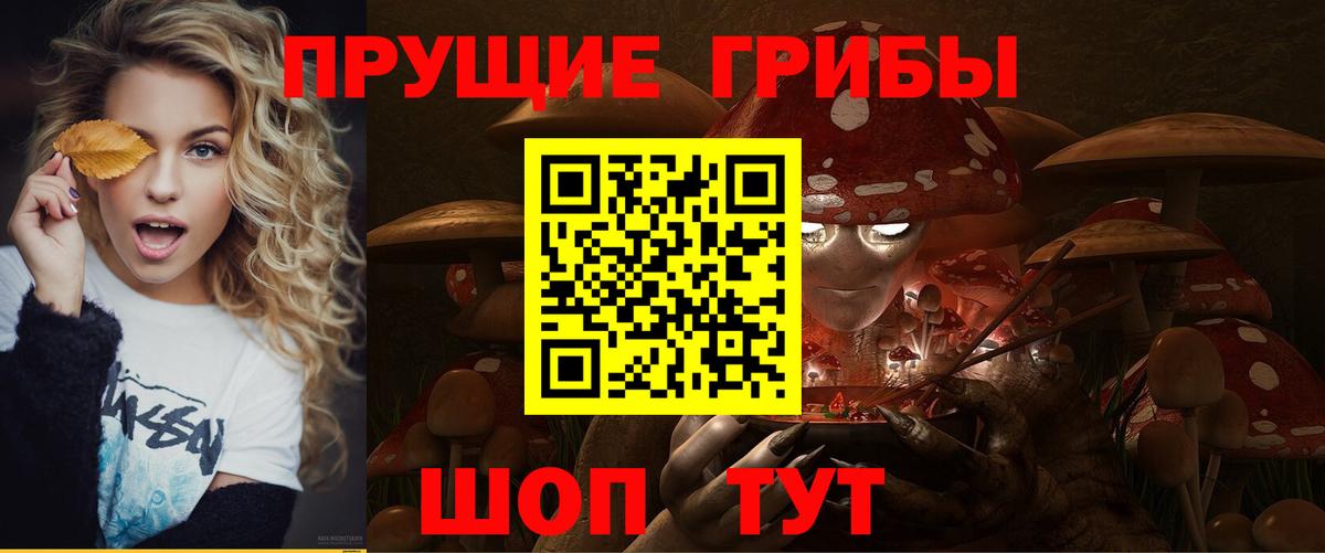 Губаха  Псилоцибиновые грибы Psilocybe  Галлюциногенные грибы ЛСД  продажа наркотиков  Вход с VPN 